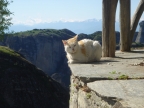 DSC01851.JPG