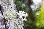 IMG_6259.jpg
