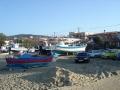 DSC04778.JPG