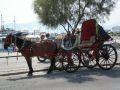Horse car