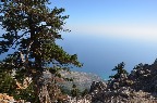 DSC_0218.JPG