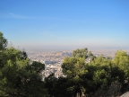 IMG_7380.JPG