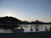 IMG_0627.JPG