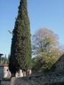 DSC04797.JPG