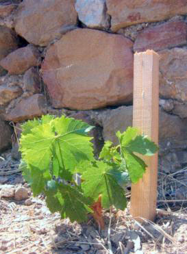 ���������� � ������ ������� �� �������� ��������� ����� � ��������� �� ��������� ������ ����