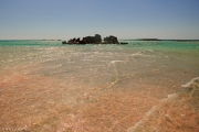 IMG_3455.jpg