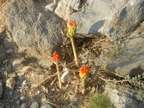 DSCN2349.JPG