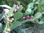 DSCN1292.JPG