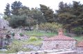 DSC_0302.JPG