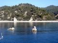 DSC04791.JPG