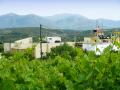 DSC00800