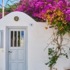 Цветочная Греция: какие растения напоминают нам о Балканском путешествии