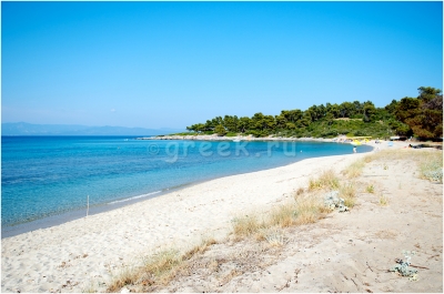 ���� ����������