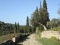 DSC04810.JPG