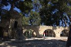 IMG_8594.jpg
