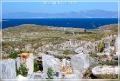 delos_37