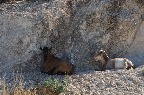 DSC_0166.JPG