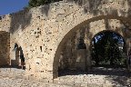 IMG_8588.jpg