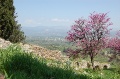 DSC_0193.JPG