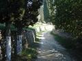 DSC04809.JPG