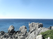 IMG_8297.JPG