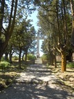 DSCN4046.JPG