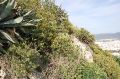 DSC_0113.JPG