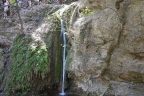 petaludes_117.jpg