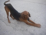 IMGP0284.JPG