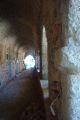 Arkadi15