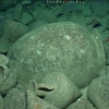 В Греции найден затонувший более 2,5 тысячи лет назад корабль