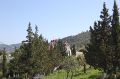 DSC_0166.JPG