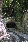 IMG_8581.jpg