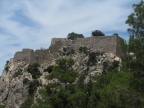 IMG_6938.jpg