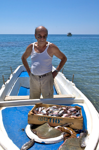 Что случилось с рыбой в Греции?