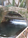 LIVADIA PIGES KRIAS