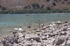 IMG_8521.jpg