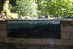 IMG_8587.jpg