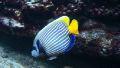 Aquarium15