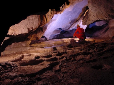 Доисторические медведи жили в пещерном парке Альмопии