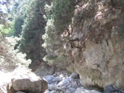 IMG_1220.JPG
