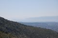 DSC_0172.JPG