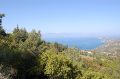 DSC_0146.JPG