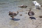 IMG_8522.jpg