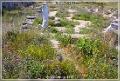 delos_38