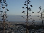 DSC01723.JPG
