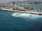 S6303116.JPG