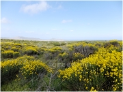 ������ ����� �� ������