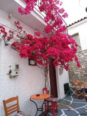 ����� �����: � ������? �����!!! �.�������!