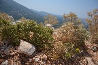 DSC_0044.JPG